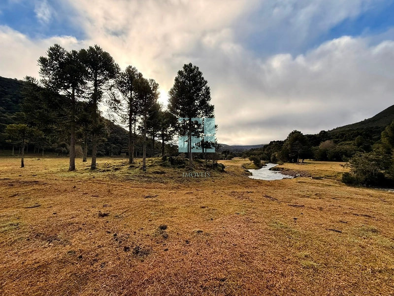 Terreno com rio: 10ª foto da galeria de imagens do imóvel