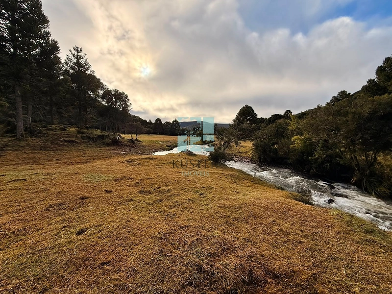 Terreno com rio: 12ª foto da galeria de imagens do imóvel