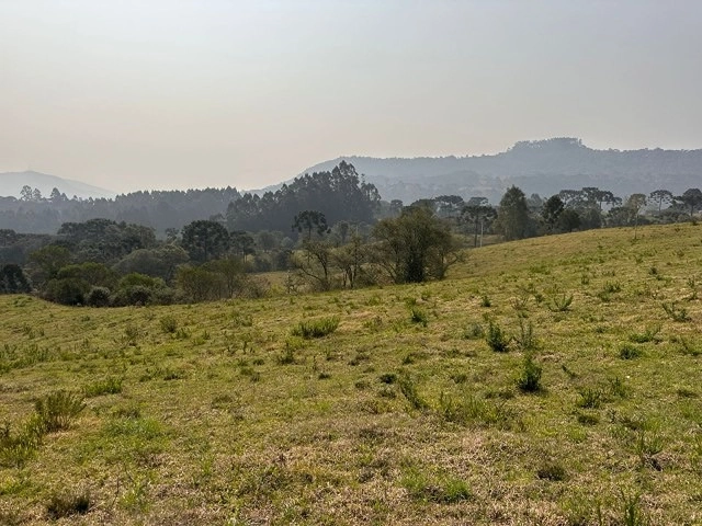 Terreno com Vista: 6ª foto da galeria de imagens do imóvel