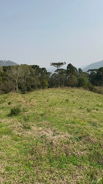 Terreno com Vista: 2ª foto da galeria de imagens do imóvel