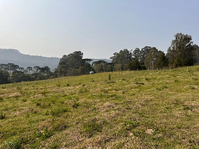 Terreno com Vista: 4ª foto da galeria de imagens do imóvel