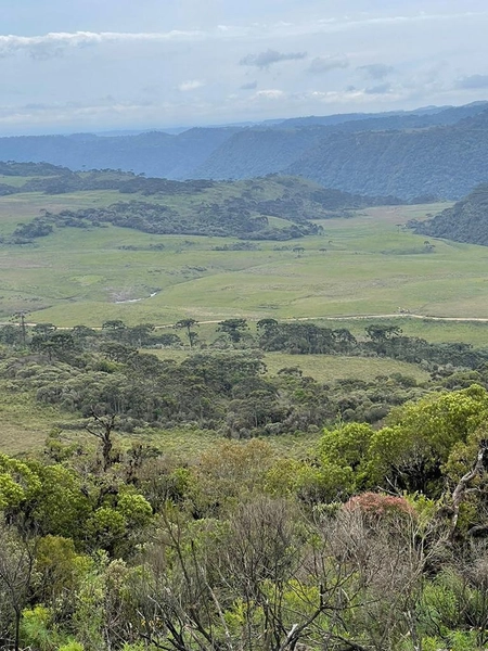 Fazenda em Urubici: 4ª foto da galeria de imagens do imóvel