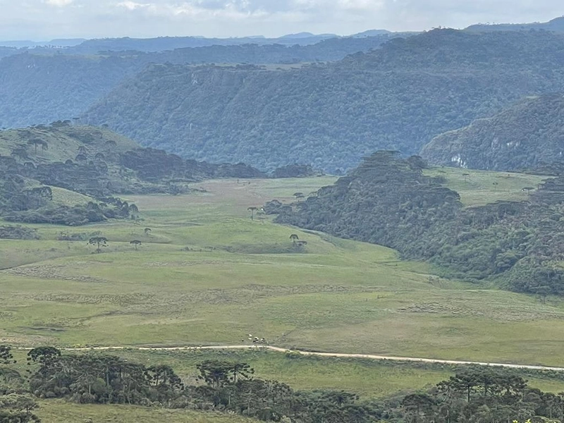 Fazenda em Urubici: 8ª foto da galeria de imagens do imóvel