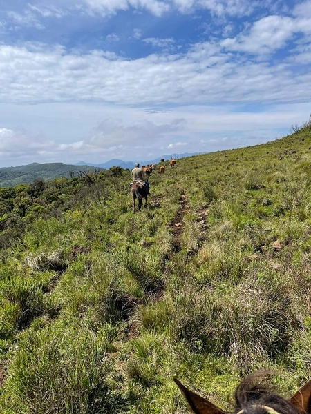 Fazenda em Urubici: 21ª foto da galeria de imagens do imóvel