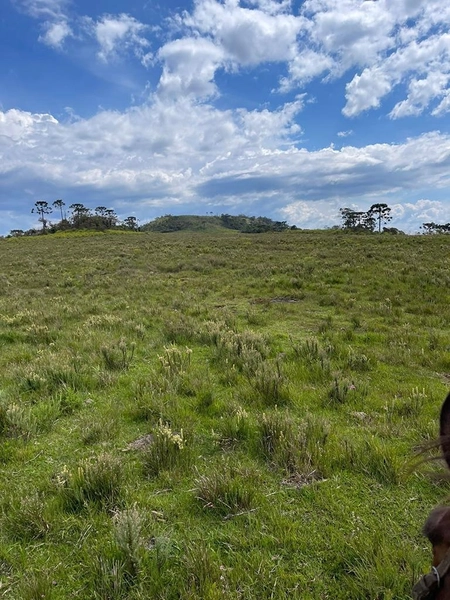 Fazenda em Urubici: 19ª foto da galeria de imagens do imóvel