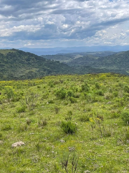 Fazenda em Urubici: 6ª foto da galeria de imagens do imóvel
