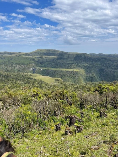 Fazenda em Urubici: 3ª foto da galeria de imagens do imóvel