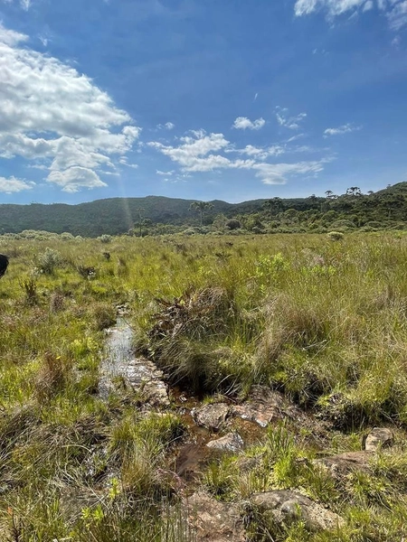 Fazenda em Urubici: 1ª foto da galeria de imagens do imóvel