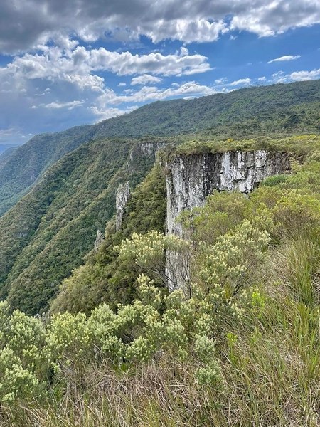 Fazenda em Urubici: 15ª foto da galeria de imagens do imóvel