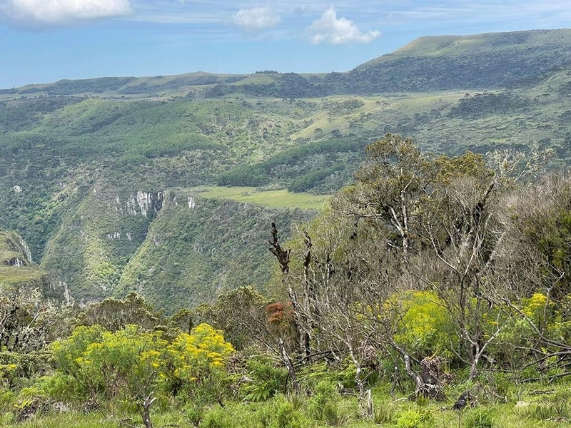 Fazenda em Urubici: 10ª foto da galeria de imagens do imóvel