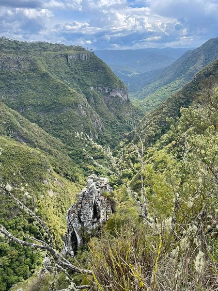 Fazenda em Urubici: 7ª foto da galeria de imagens do imóvel