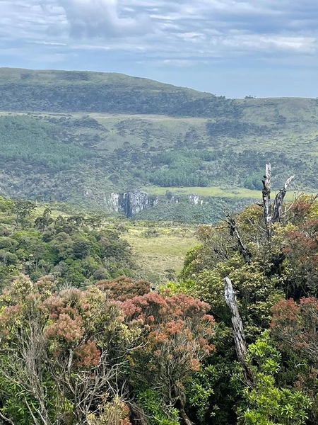 Fazenda em Urubici: 17ª foto da galeria de imagens do imóvel