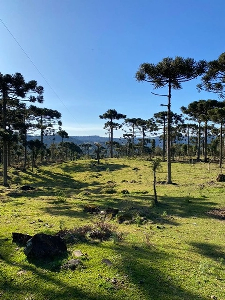 Terreno Próximo a Cachoeira Papuã: 3ª foto da galeria de imagens do imóvel