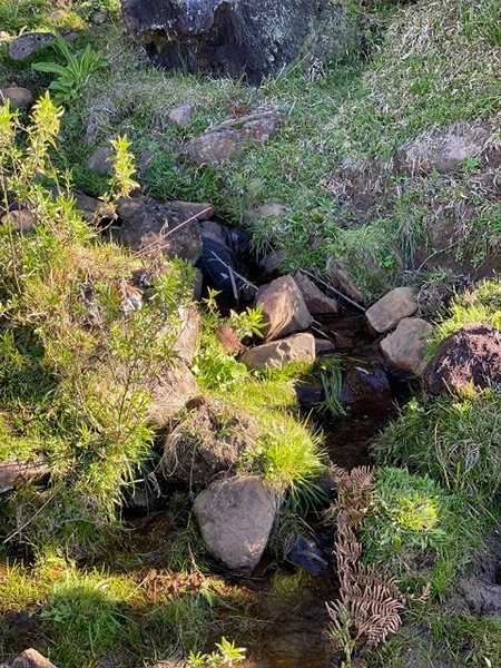 Terreno Próximo a Cachoeira Papuã: 8ª foto da galeria de imagens do imóvel
