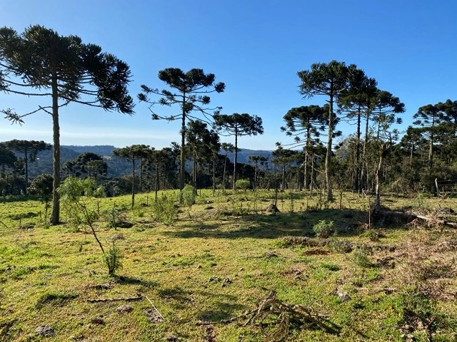 Terreno Próximo a Cachoeira Papuã: 5ª foto da galeria de imagens do imóvel