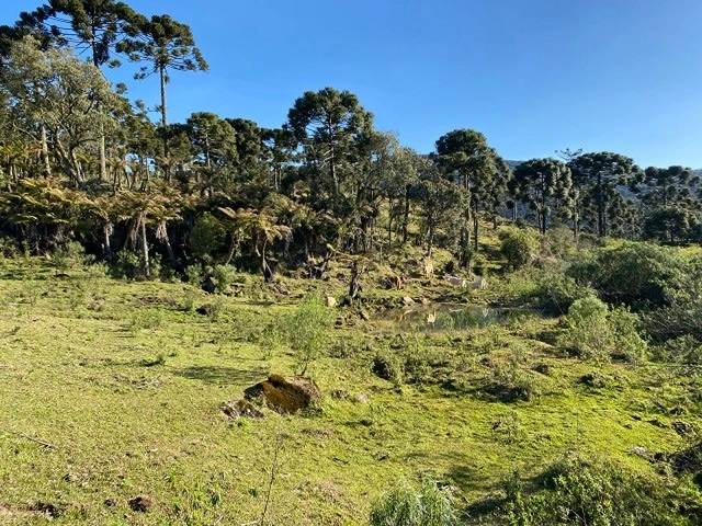 Terreno Próximo a Cachoeira Papuã: 10ª foto da galeria de imagens do imóvel