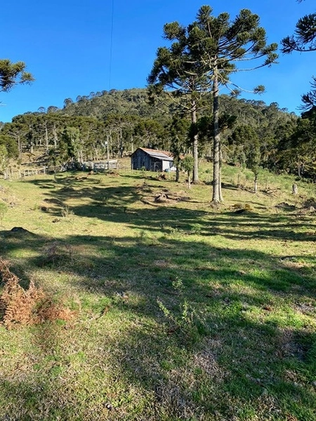 Terreno Próximo a Cachoeira Papuã: 1ª foto da galeria de imagens do imóvel