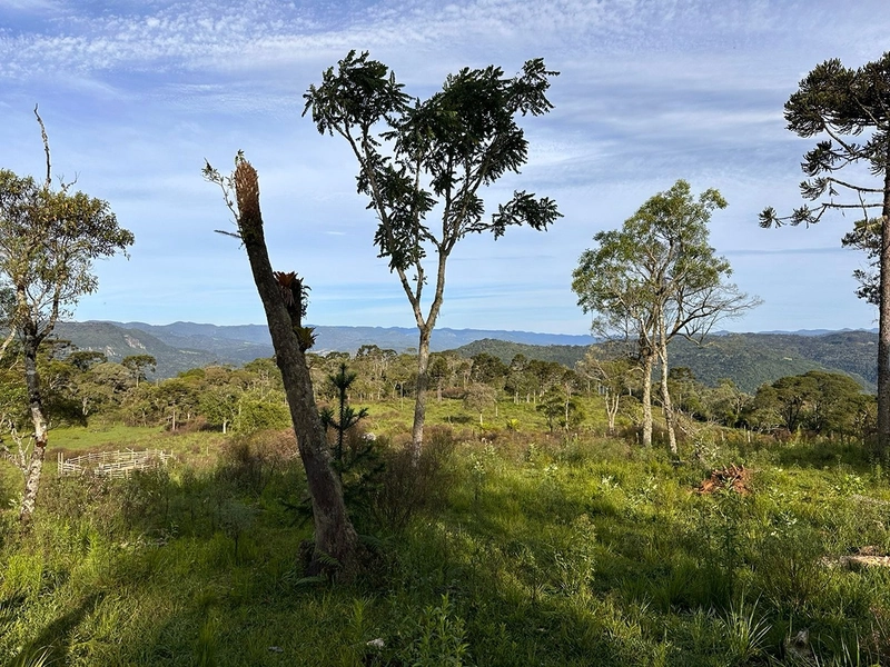Terreno com Vista - Em 50x R$10.000 sem entrada: 3ª foto da galeria de imagens do imóvel