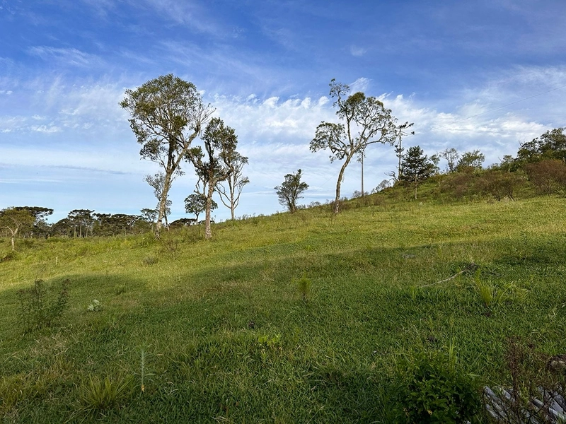 Terreno com Vista - Em 50x R$10.000 sem entrada: 8ª foto da galeria de imagens do imóvel