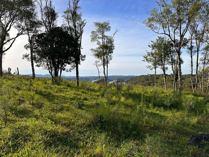Terreno com Vista - Em 50x R$10.000 sem entrada: 6ª foto da galeria de imagens do imóvel