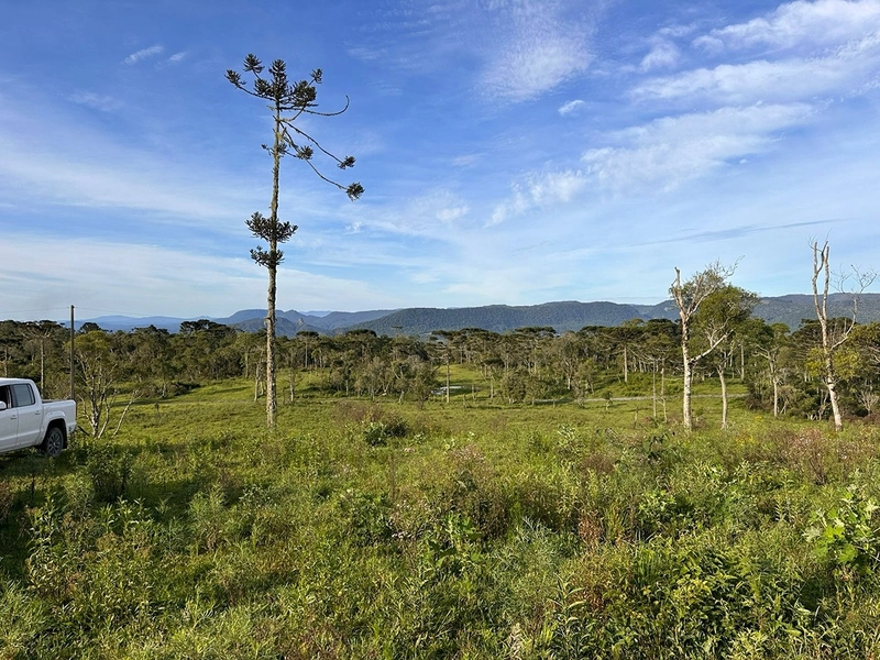 Terreno com Vista - Em 50x R$10.000 sem entrada: 4ª foto da galeria de imagens do imóvel