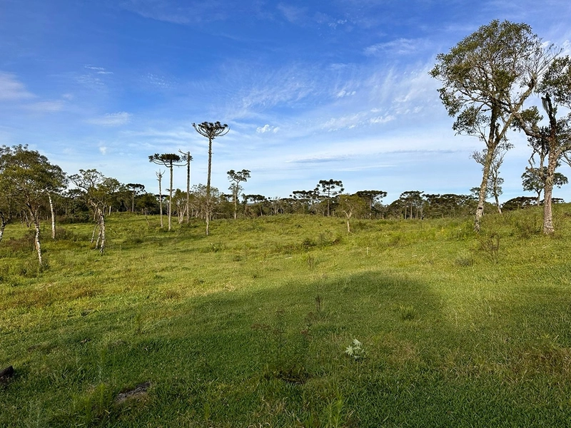 Terreno com Vista - Em 50x R$10.000 sem entrada: 12ª foto da galeria de imagens do imóvel
