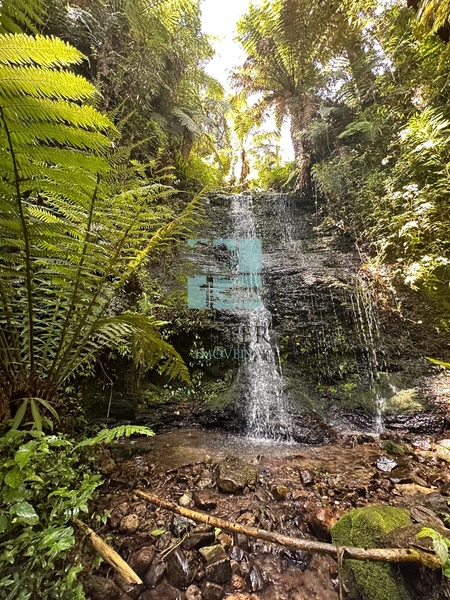 Refúgio Exclusivo com Cascata Privativa em Urubici: 24ª foto da galeria de imagens do imóvel