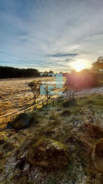 Casa de Campo: 17ª foto da galeria de imagens do imóvel