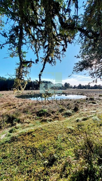 Casa de Campo: 12ª foto da galeria de imagens do imóvel