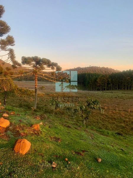 Casa de Campo: 15ª foto da galeria de imagens do imóvel