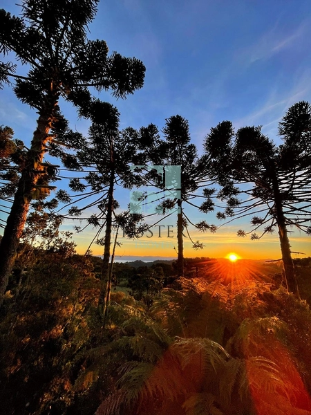 Investimento em Urubici: 7ª foto da galeria de imagens do imóvel