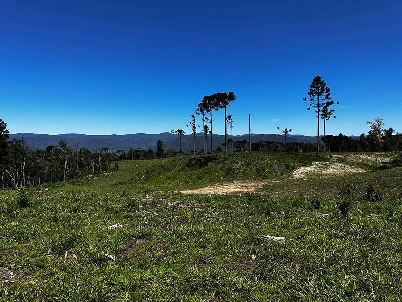 null: 11ª foto da galeria de imagens do imóvel