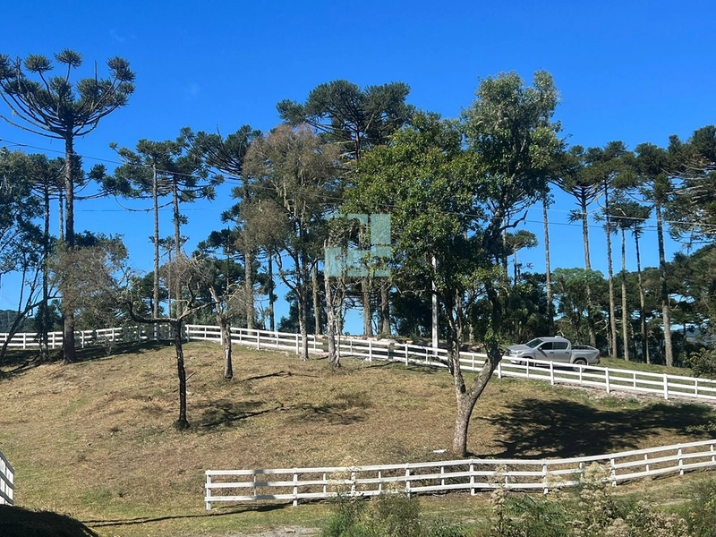 Terreno em Urubici - Rio dos Bugres: 12ª foto da galeria de imagens do imóvel