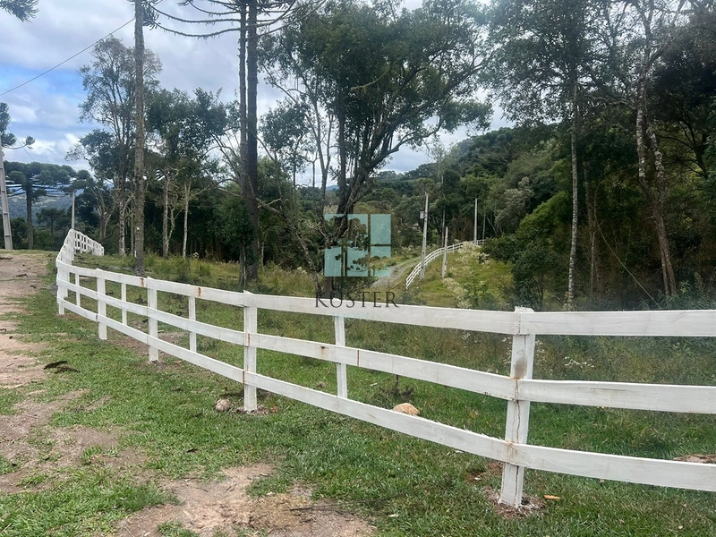 Terreno em Urubici - Rio dos Bugres: 11ª foto da galeria de imagens do imóvel