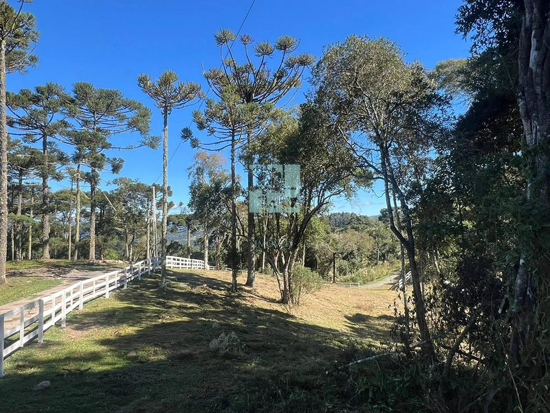 Terreno em Urubici - Rio dos Bugres: 7ª foto da galeria de imagens do imóvel