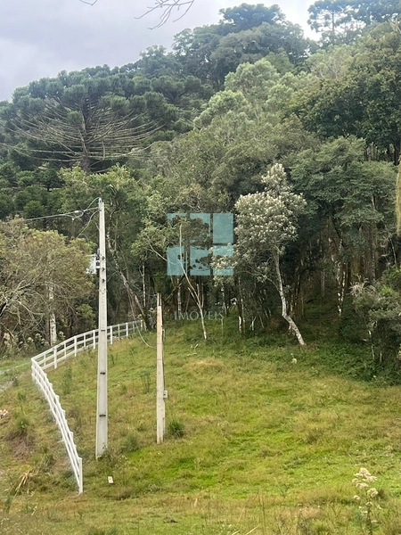 Terreno em Urubici - Rio dos Bugres: 5ª foto da galeria de imagens do imóvel