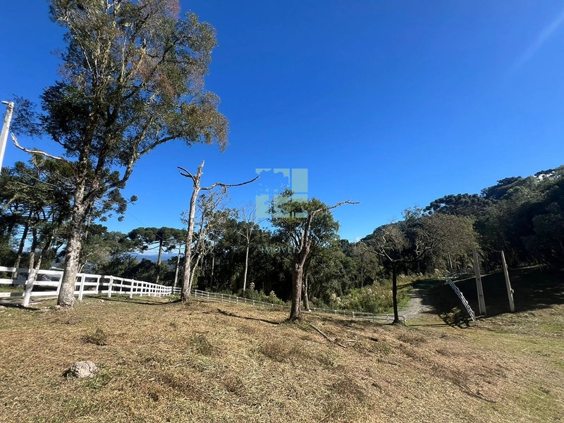 Terreno em Urubici - Rio dos Bugres: 4ª foto da galeria de imagens do imóvel