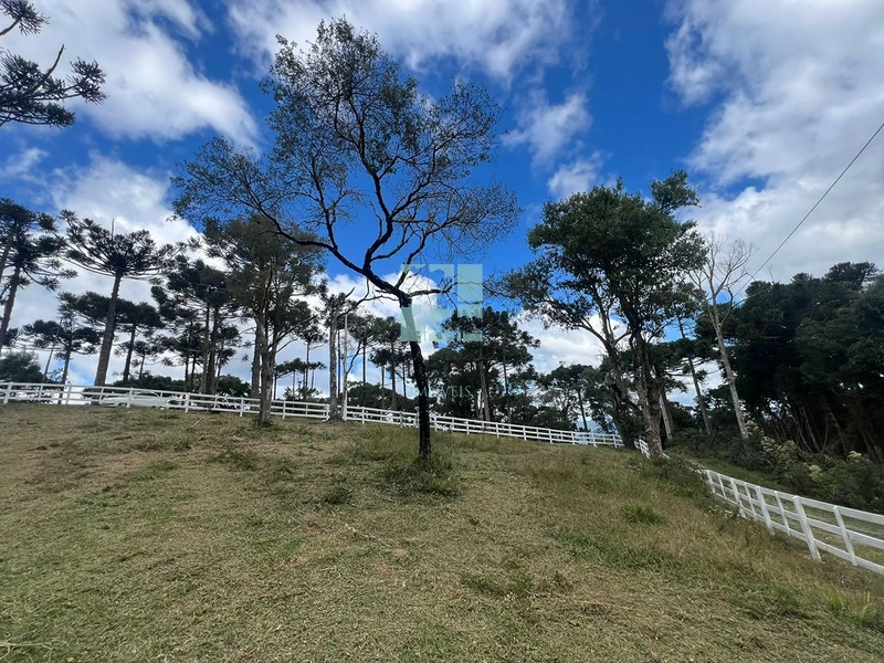 Terreno em Urubici - Rio dos Bugres: 6ª foto da galeria de imagens do imóvel