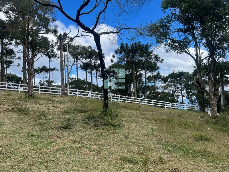 Terreno em Urubici - Rio dos Bugres: 9ª foto da galeria de imagens do imóvel