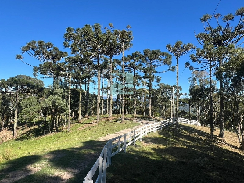 Terreno em Urubici - Rio dos Bugres: 3ª foto da galeria de imagens do imóvel
