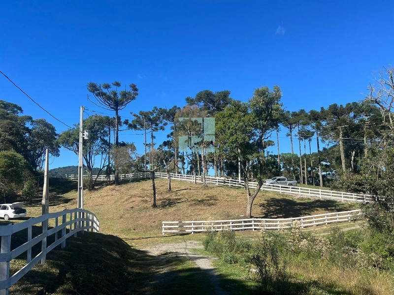 Terreno em Urubici - Rio dos Bugres: 10ª foto da galeria de imagens do imóvel