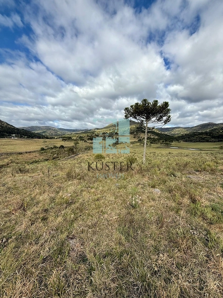 Terreno em Urubici: 13ª foto da galeria de imagens do imóvel