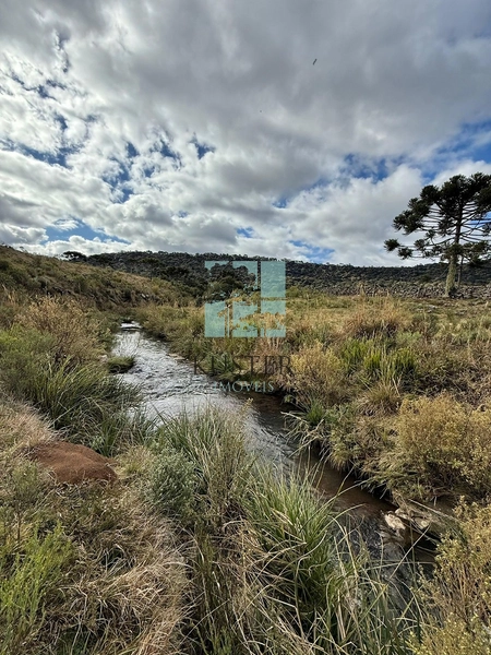 Terreno em Urubici: 17ª foto da galeria de imagens do imóvel