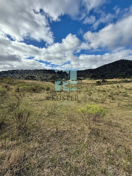 Terreno em Urubici: 11ª foto da galeria de imagens do imóvel