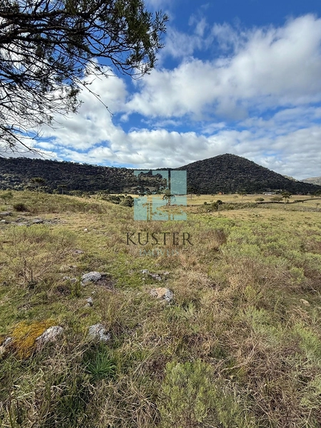 Terreno em Urubici: 16ª foto da galeria de imagens do imóvel