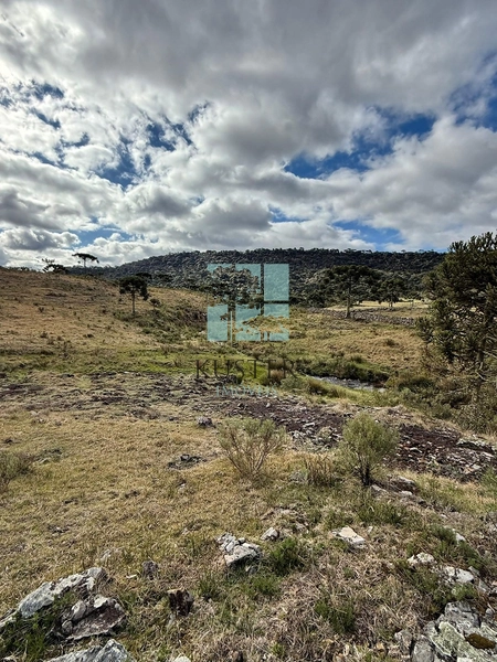 Terreno em Urubici: 9ª foto da galeria de imagens do imóvel