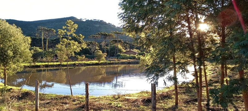 Belo Sítio: 9ª foto da galeria de imagens do imóvel