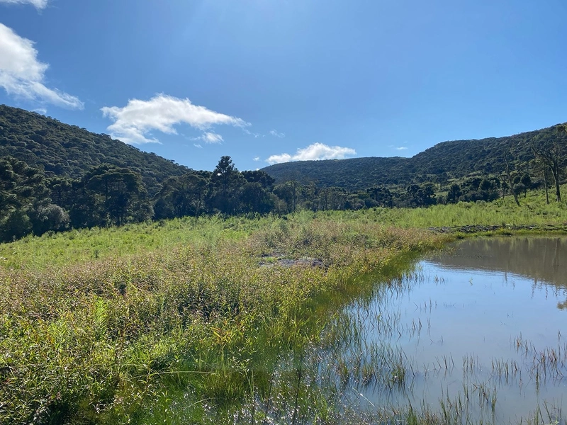 Lindo Terreno de Altitude: 1ª foto da galeria de imagens do imóvel