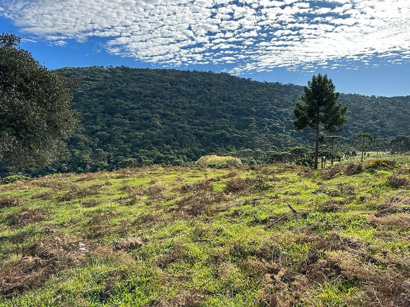 Terreno com Vista: 9ª foto da galeria de imagens do imóvel