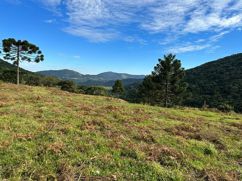 Terreno com Vista: 6ª foto da galeria de imagens do imóvel
